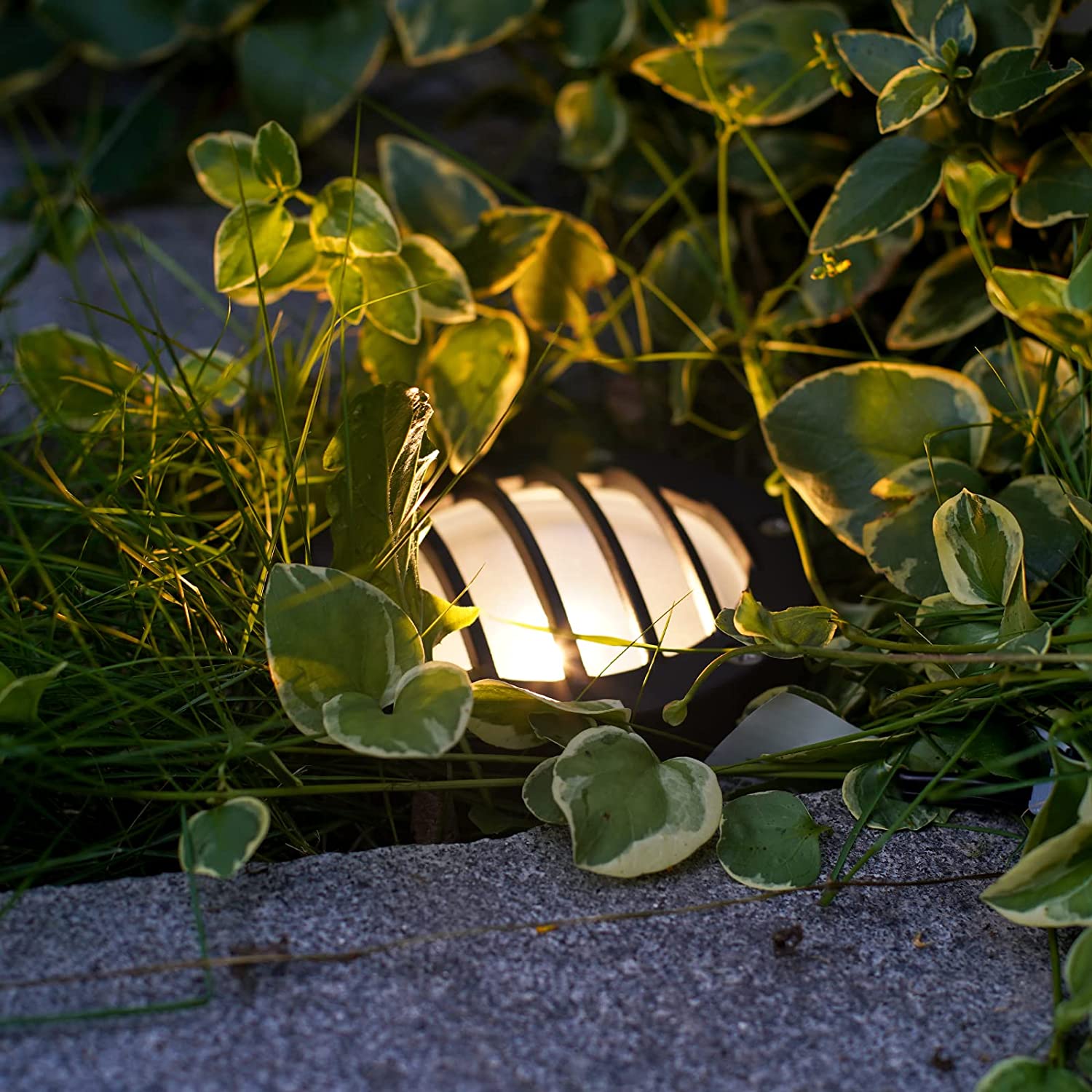 Malibu LED Low Voltage Landscape Lighting Well Light Outdoor Deck Ligh -  Venus Manufacturing