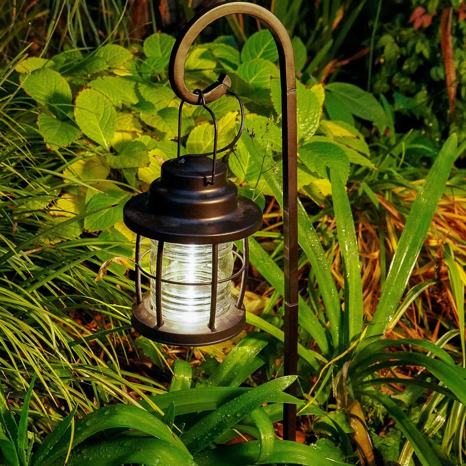 Malibu Outdoor Lantern